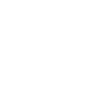 my soulmate logo footer